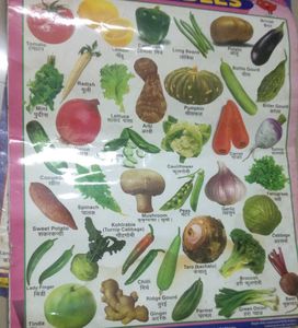Combo Of 4 Hindi Varnmala Etc, Learning Chart