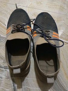 Sport Shoes 👞