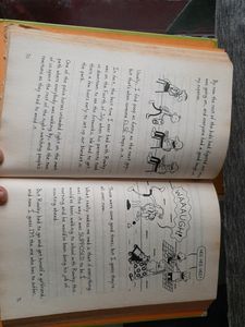 Diary Of a Wimpy Kid Hard Luck