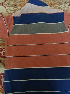 Striped Hollister Polo Shirt