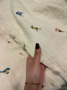 Zara Embroidered Cardigan