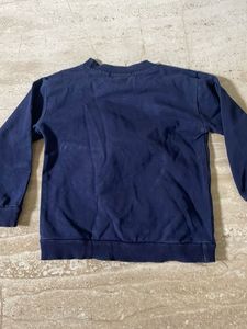 Cute Lion Graphic Sweatshirt