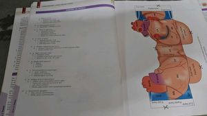 Human Anatomy - Vol. 1