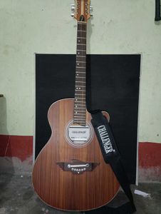 Challenger Guiter