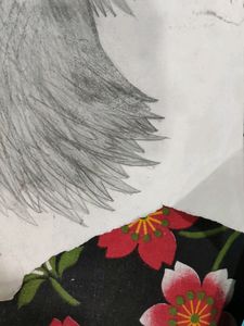 Beautiful Owl Drawing
