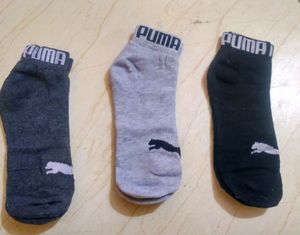 Ankle Length Socks For Men And Women 1st Copy