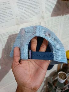 Patagonia Cap
