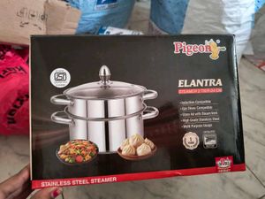 Pigeon Elantra Steamer