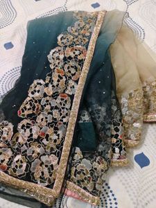 net saree expansive work  😍