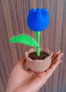 Tulip Pot