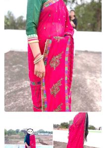 Beautiful Saree 2
