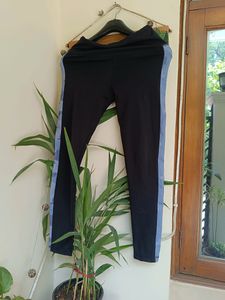 Gym Lower For Women