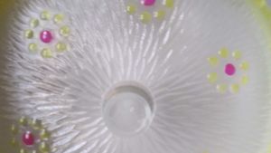 Glass Bowl / Pudding Set