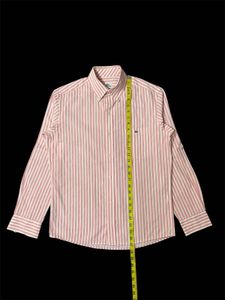 Lacoste Shirt For Men’s.