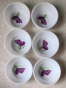 Floral Small  Bowls Set  (Set of 6)
