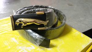 Beautifull Jaguar Belt For Men