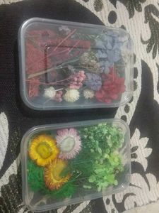NEW  FLOWERS FOR RESIN ART PACK OF 2