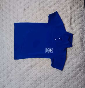 Colorful Men's T-Shirt Bundle