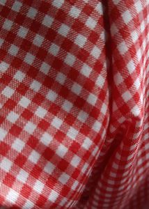 Gingham Front Tie up Red Top