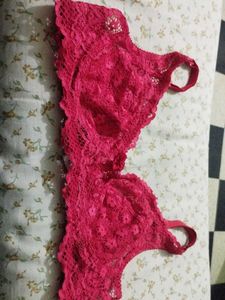 Dress Berry Bra