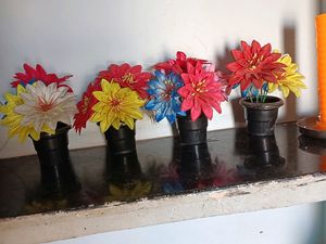 4 Showcase Flowers