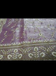 Elegant jimmy choo saree