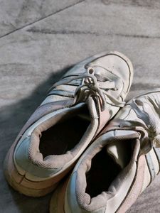 Daily Wear Sneakers