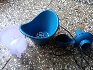 face steamer