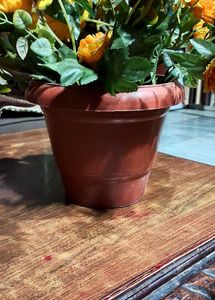 Flowers with Pot