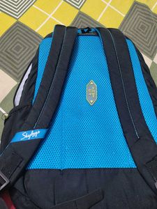 Skybags Backpack