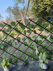 Expendable fence hedge
