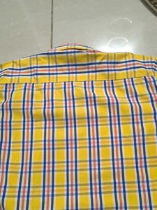 Yellow Vivaldi Plaid Long Sleeve Shirt