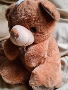 Teddy Bear