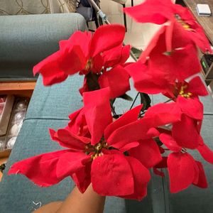 Red Poinsettia Home Decor for Christmas