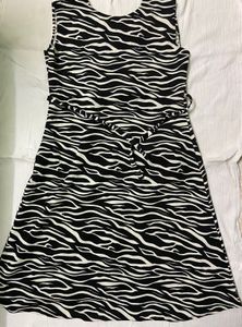 Zebra Print Dress