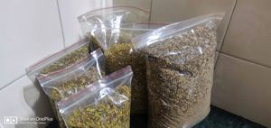 multiseeds