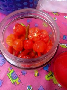 Hygiene Achaar Red Round Chilly Only With Lemon