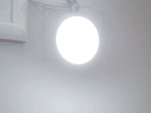 *Cash Offer Buy One Get 1 Free* New 10W LED Bulb