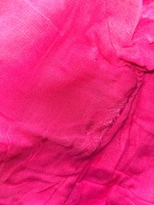 Festive Saree With Blouse