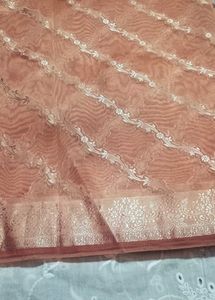Tissue Saree 2
