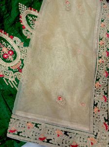 Designer green Lehngha Choli Set