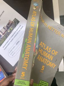 Netters Atlas For Visualisation Of Anatomy