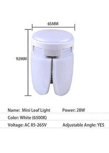 Colorful LED Ceiling Light