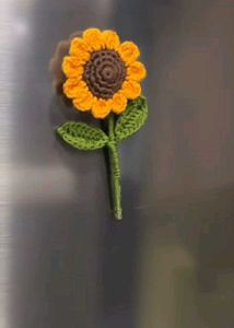 Crochet 3D Magnet Available Only In Cash