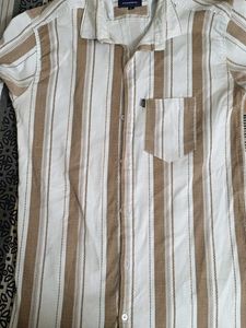 Striped Button-Down Shirt