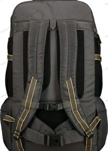 Aristocrat 45 Ltrs Grey Rucksack (RUCHIKEGRY)