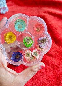 Dried Flowers For Resin