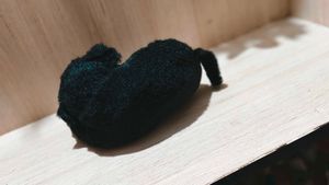 🎁Buy 2 Get 1 Free 🎁 Doggie Plush Toy