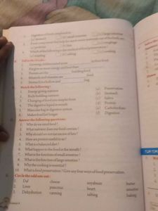 Nature and Science - Grade 4