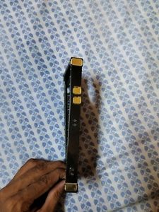 iPhone 11 Back Cover